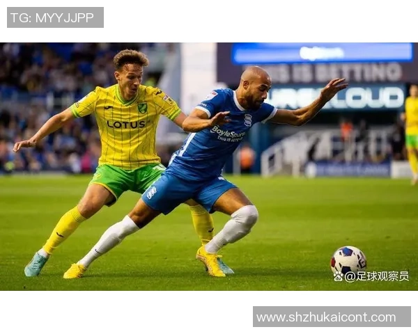 西布罗姆对阵伯明翰比赛前瞻及胜负预测分析